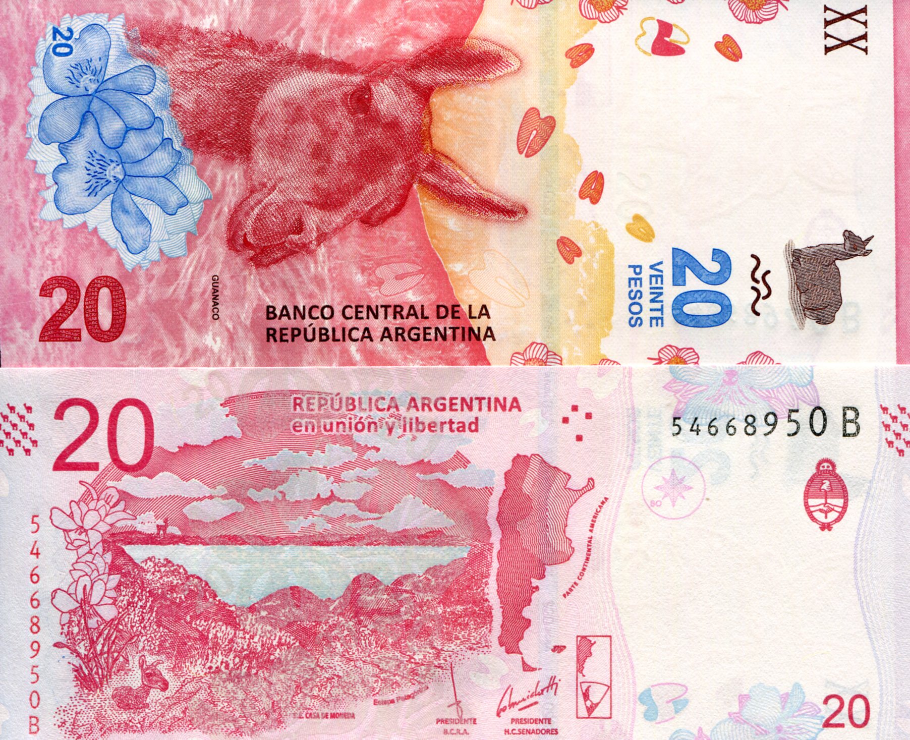 Argentina  20 Pesos UNC pick #: 361b