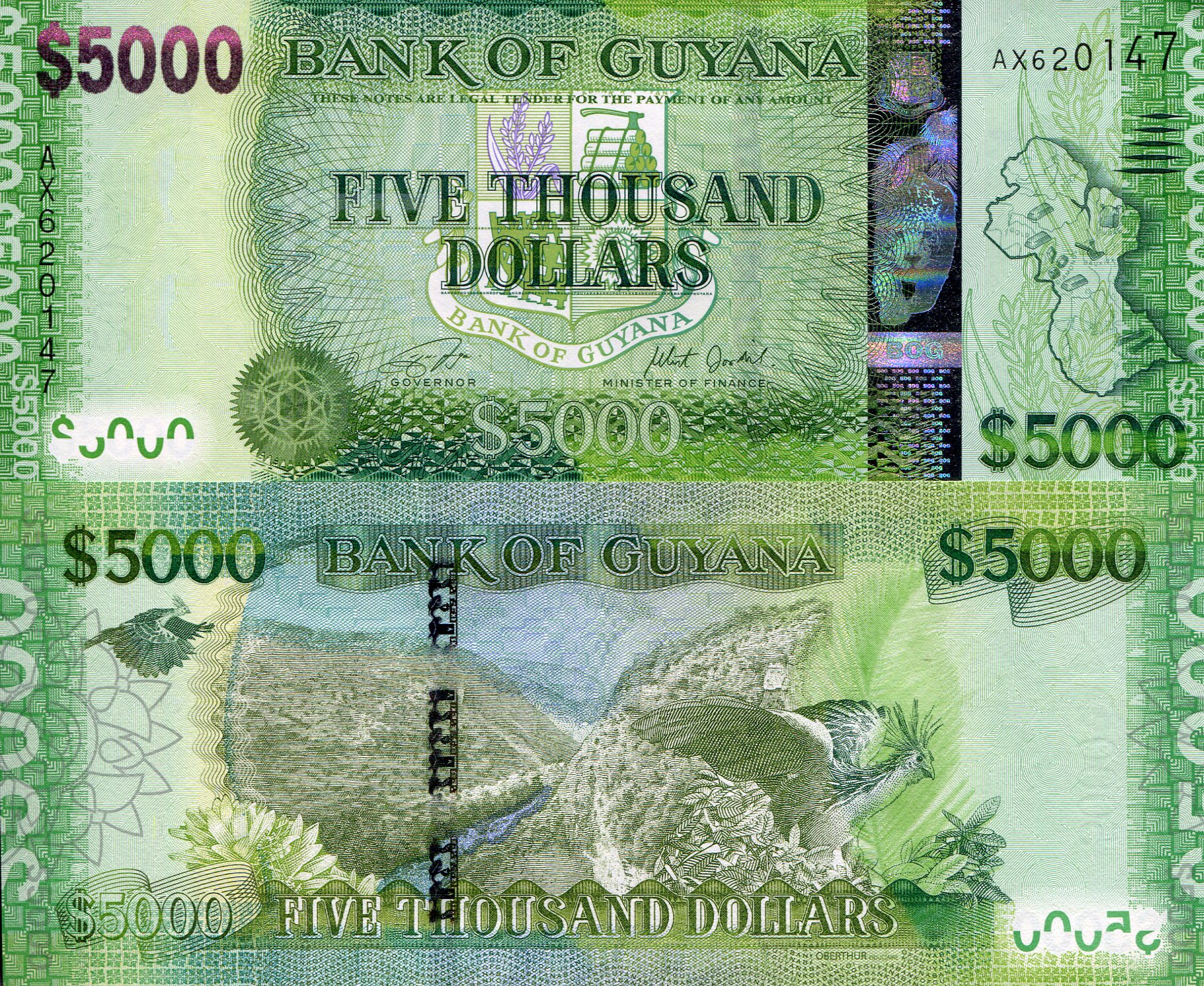 Guyana 5,000 Dollars UNC pick #: 40b
