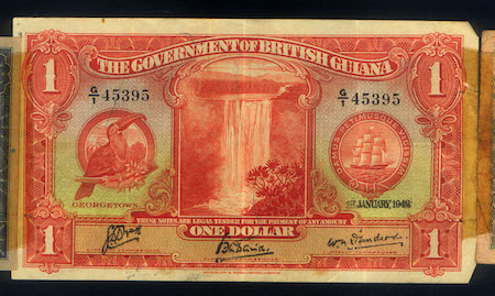 British Guiana 13 Note Snorter Belt