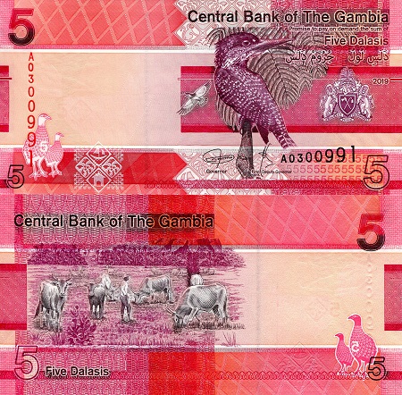 Gambia 5 Dalasi Pick Number: New UNC Banknote